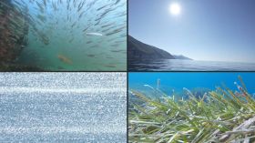 La mer Mediterranée a enregistré dimanche une température record pour un mois de juin