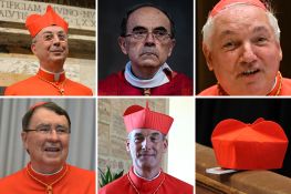 Les cinq cardinaux français électeurs du futur pape