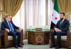 En visite en Syrie, le chef de la diplomatie allemande évoque l'immigration et la coopération économique