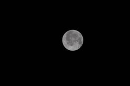 En route pour la Lune, les astronautes d'Artémis en entrevoient déjà la face cachée