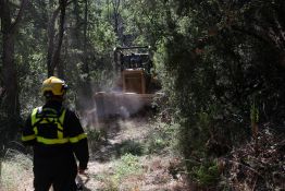 France: plus d'un tiers de la population en alerte canicule