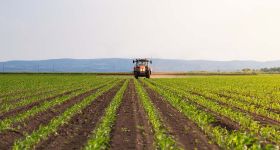 Quand la concurrence étrangère étrangle l’agriculture libanaise