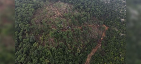 Massacre écologique au Akkar