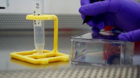 L’IA au service des vaccins du futur