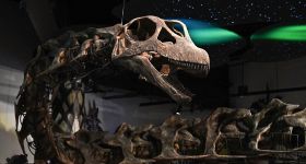 Nagatitan chaiyaphumensis, le titan oublié d’Asie du Sud-Est