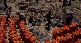 Égypte : la guerre au Moyen-Orient touche les champs