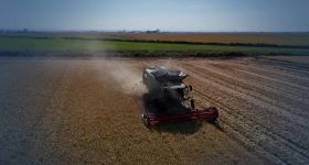En Italie, le riz d’hier pour affronter le climat de demain