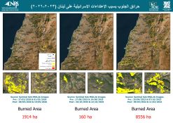 Liban-Sud: 1.914 hectares brûlés depuis le 02 mars