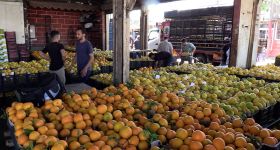 Les fruits libanais retrouvent le Golfe