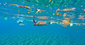 Microplastiques: cette menace invisible au Liban