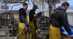 Pêche en crise: le gazole étrangle la Méditerranée