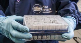 Surveillance sanitaire à bord du MV Hondius après des cas d’hantavirus