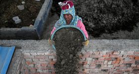 En Inde, les engrais naturels font leur retour