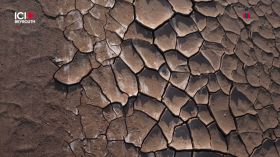 Mexique: le delta du Colorado revit peu à peu