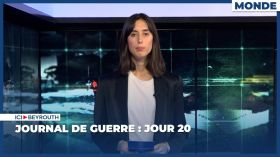 Journal de guerre : Jour 20