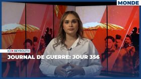 Journal de guerre: Jour 356