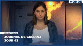 Journal de guerre: Jour 43