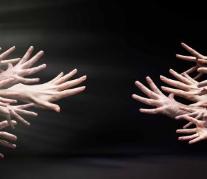 L’homme n’a pas d’instinct, la femme non plus