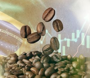 Café: le Brésil pourrait changer la trajectoire des prix