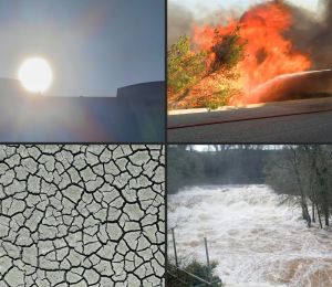 Pollution à l'ozone: plus d'un tiers de la population mondiale exposée à des niveaux dangereux, selon Copernicus