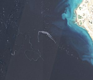 Le pétrole en retrait malgré les hostilités au Moyen-Orient
