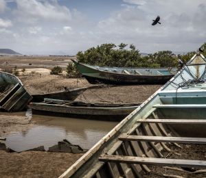 Au moins 109 migrants morts et plus de 116 portés disparus dans un naufrage meurtrier au large de Djibouti