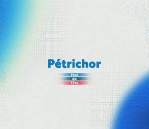 «Pétrichor»: quand la pluie réveille la mémoire de la terre