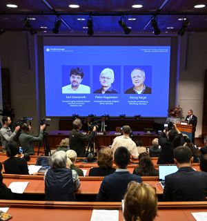 Le Nobel de médecine décerné à l'Américain Karl Deisseroth et aux Allemands Peter Hegemann et Georg Nagel