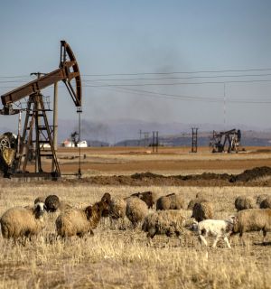Syrie: manifestations contre la hausse drastique du prix des carburants