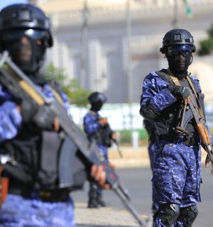 Les forces yéménites disent progresser contre les Houthis autour du détroit de Bab el-Mandeb