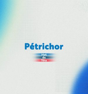 «Pétrichor»: quand la pluie réveille la mémoire de la terre