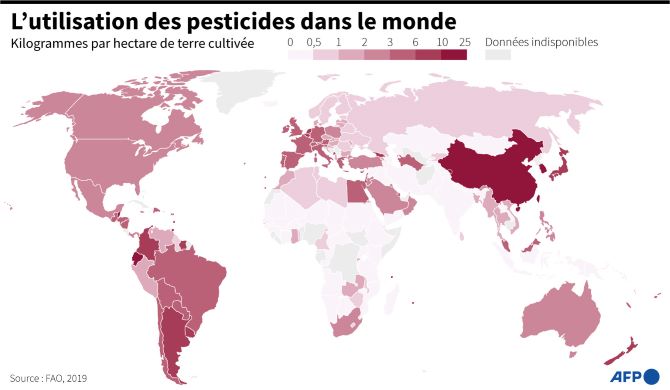 environnement