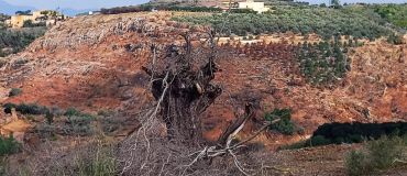 Liban