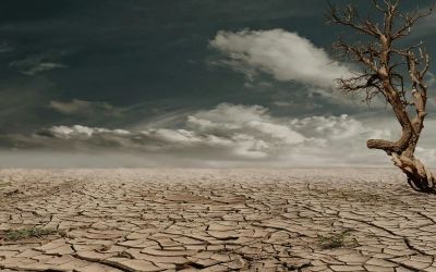 L'état des sols dans le monde se dégrade et les solutions restent ignorées, alerte lONU