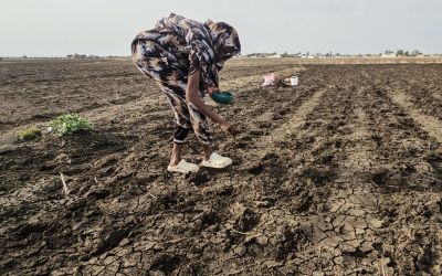 L'ONU prévoit un El Niño «de très forte intensité» ces cinq prochains mois