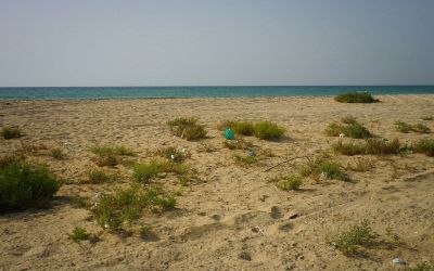 Les Émirats arabes unis signalent un déversement de pétrole sur leurs côtes