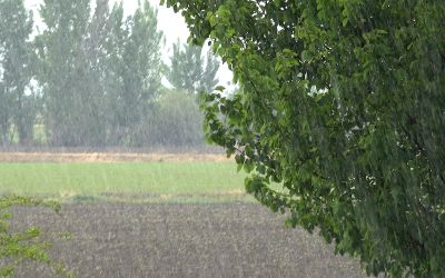 Intempéries d’août: quel impact sur l’agriculture libanaise?