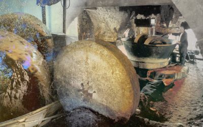 Presser l’huile, quand la meule faisait le travail