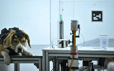 Le flair des chiens au service de la détection du cancer