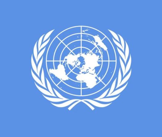 L'ONU appelle à des élections \