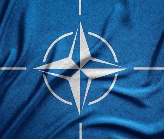 Les Pays-Bas achètent des armes américaines pour l'Ukraine