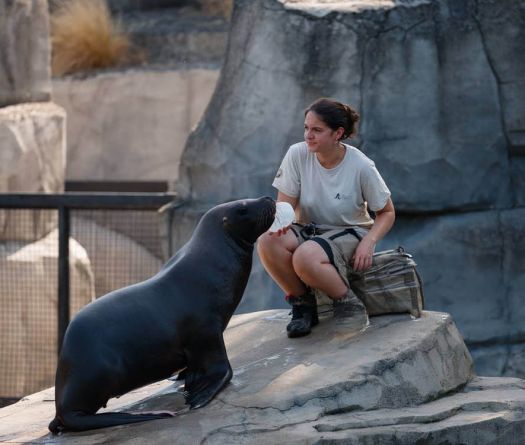 Madrid: un zoo sauvé des flammes