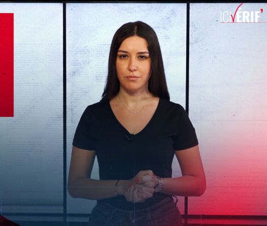 Fausses images, vraies manipulations