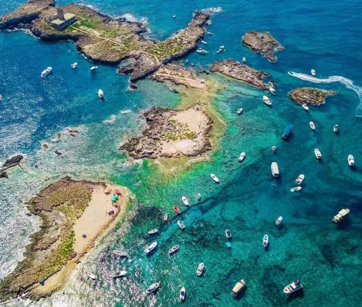 Les îles des Palmiers, le Liban sauvage