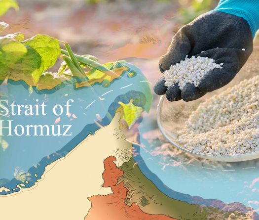 Détroit d’Ormuz: la guerre qui menace les récoltes et notre assiette