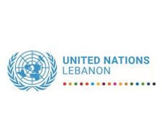L'ONU se penche sur l'avenir de la Finul