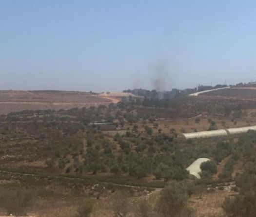 Trois tués, dont un cadre du Hezb, dans des frappes israéliennes au Liban-Sud