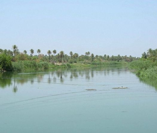 L’espoir renaît dans les rizières du sud de l’Irak