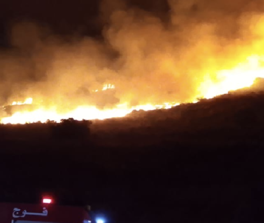 Incendie massif entre Midaneh-Kfar Remman et Arabsalim