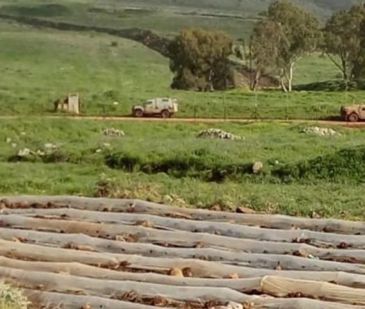 Opération de ratissage intensif près d’Alma el-Chaab 